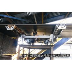 钢芯输送带检测设备生产厂 上海钢芯输送带检测 威尔若普